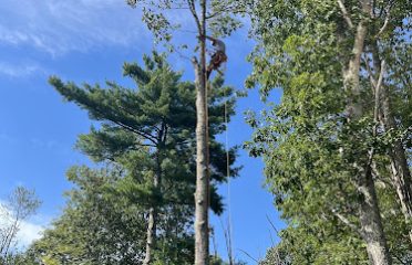 Edmund Farms Tree and Land