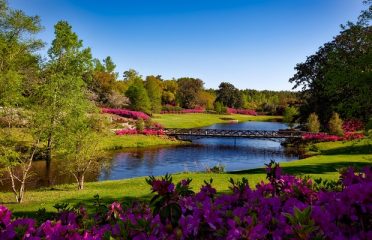 Country Gardens of Bristol