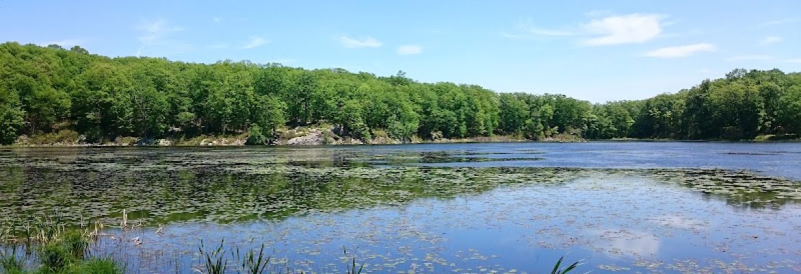 Ives Trail