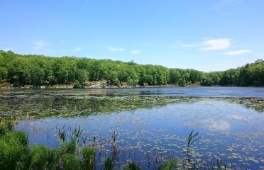 Ives Trail