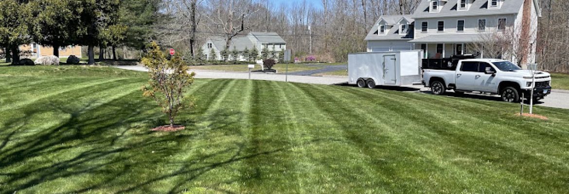 AMV Landscaping LLC