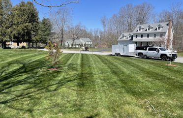 AMV Landscaping LLC