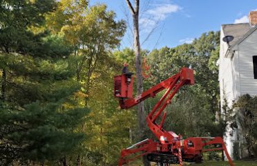 Shoreline Trees LLC