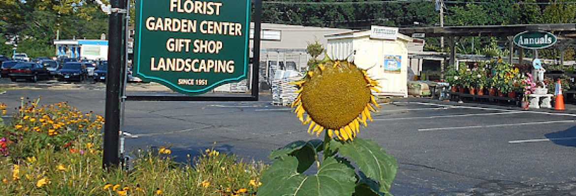 Grove Gardens Nursery and Garden Center