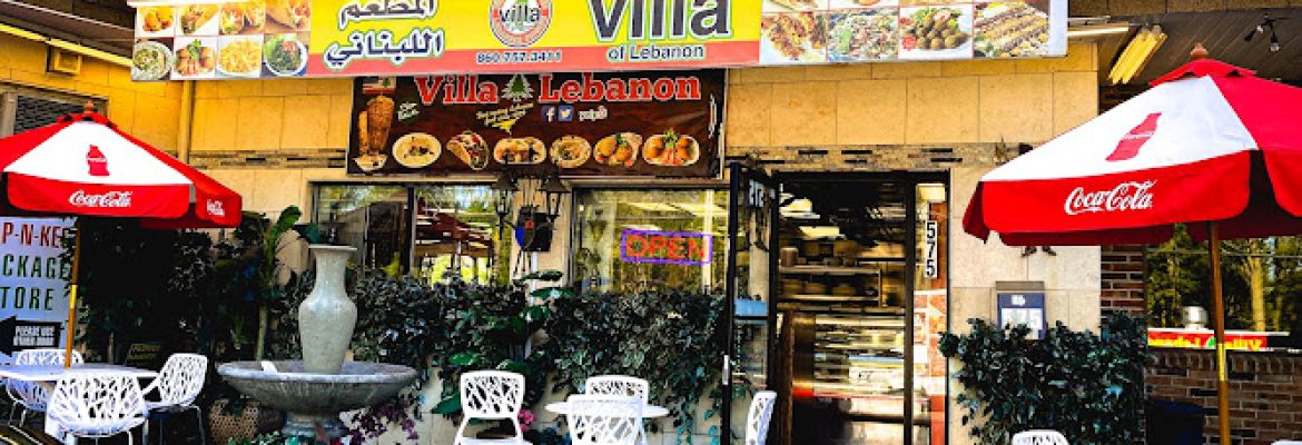 Villa Of Lebanon