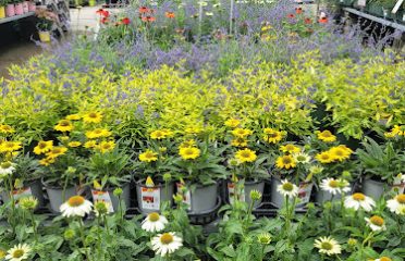 Garden Center at The Home Depot