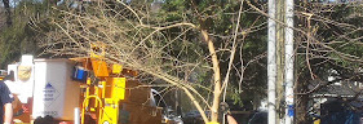 A-C Electrical Contractors LLC