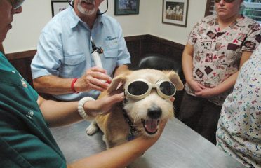 Advanced Veterinary Care