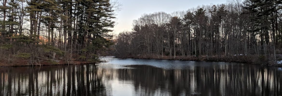 Branford Supply Pond Park