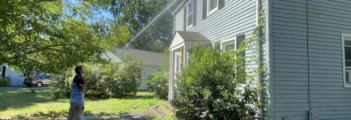 THE POWERWASHING KINGS LLC