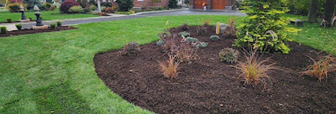 Seven Maples Gift & Garden