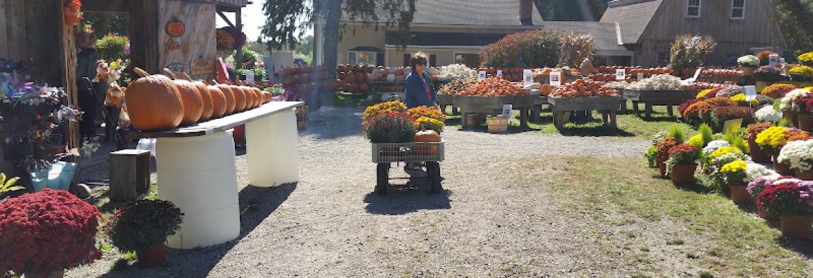 Edmondson’s Farm & Nursery