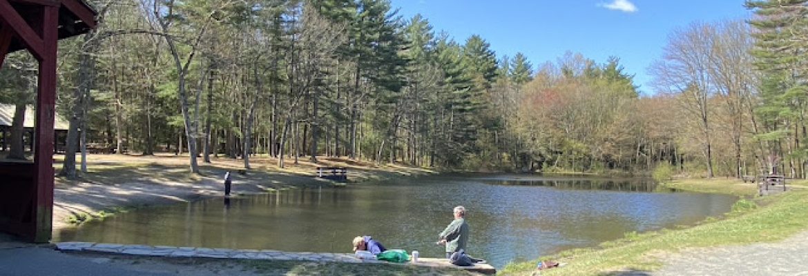 Stratton Brook State Park