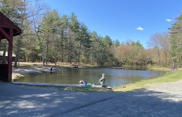 Stratton Brook State Park