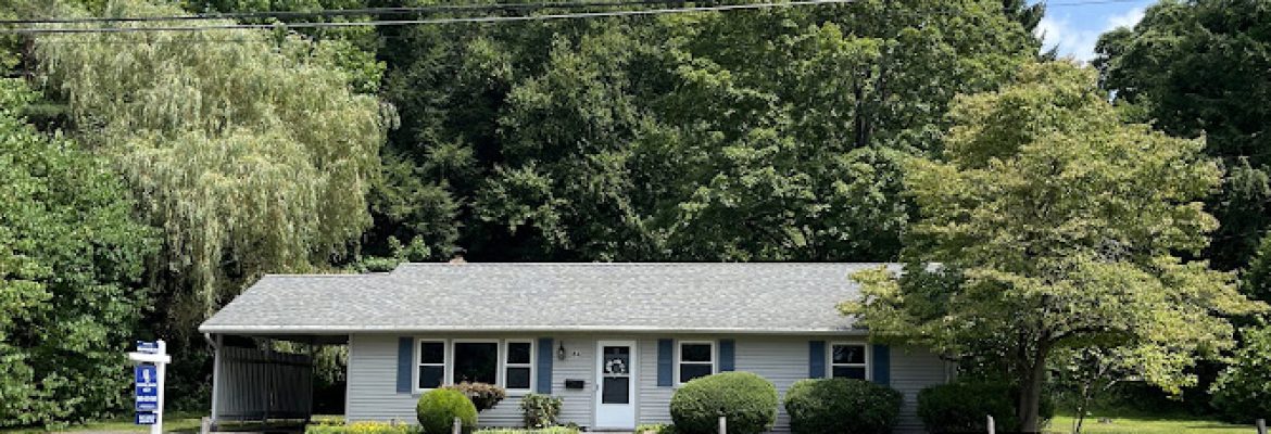 Stacy Anselmo CT & MA Realtor