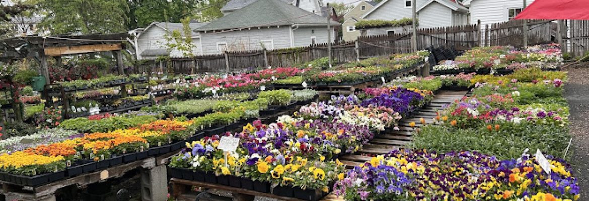 Butler Florist & Garden Center