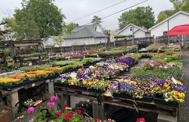 Butler Florist & Garden Center