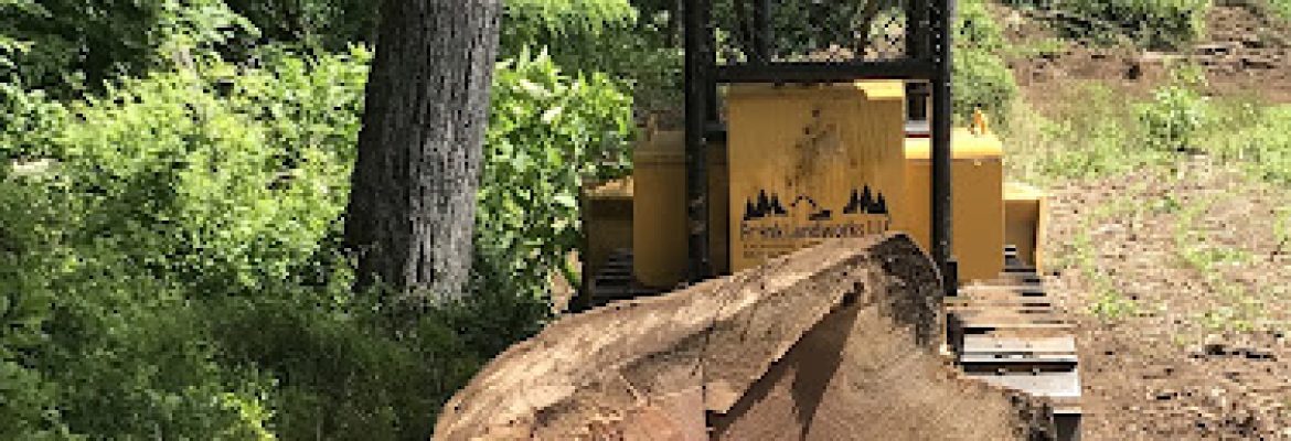 Frink Landworks Forestry and Logging