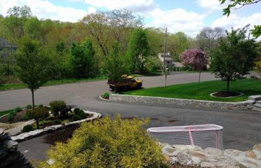JCD Tree Service & Landscaping