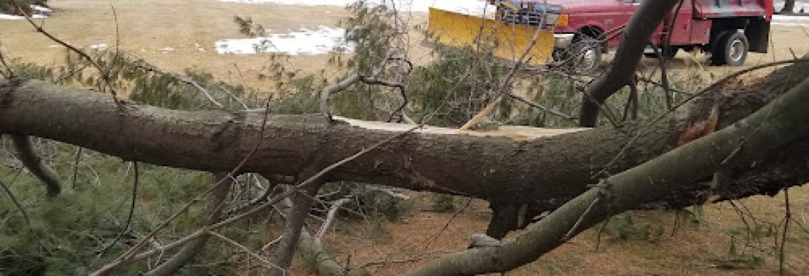 Neighbors care (NCL) tree services