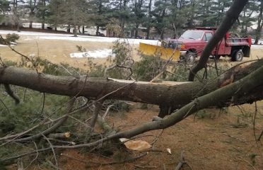 Neighbors care (NCL) tree services