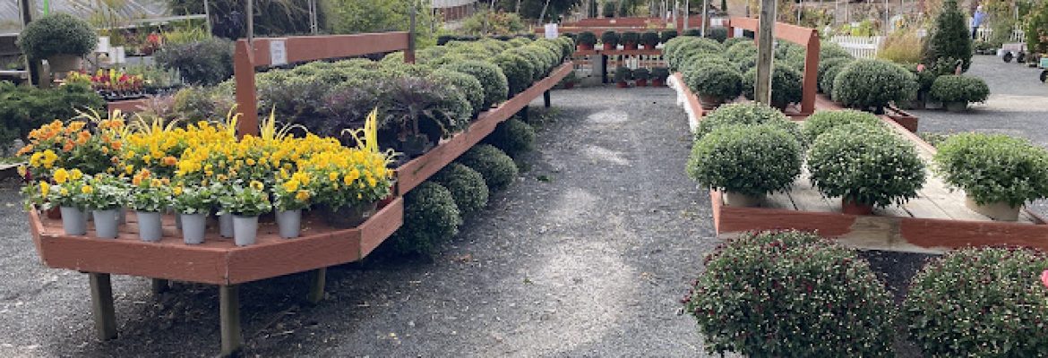 Scott’s Orchard & Nursery