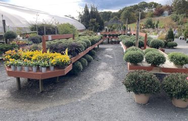 Scott’s Orchard & Nursery
