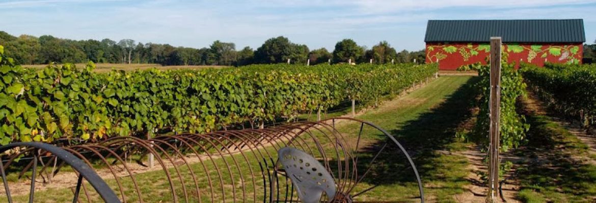 Rosedale Farms & Vineyards