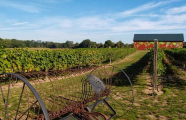Rosedale Farms & Vineyards