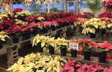 Litchfield Hills Nursery Inc