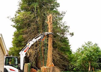 J. Witkowsky & Sons Tree Service LLC