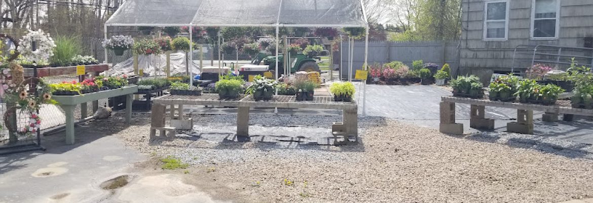 Gray House Farms Garden Center