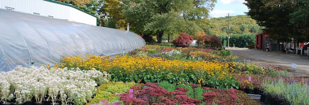 Planters’ Choice LLC
