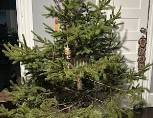 The Last Frontier Tree Farm
