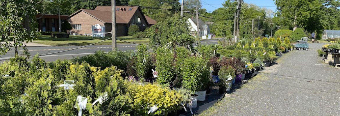 Wojtusik’s Nursery Garden Center & Christmas Shop