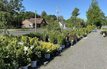 Wojtusik’s Nursery Garden Center & Christmas Shop