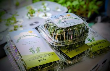 Gemal’s Greenhouse