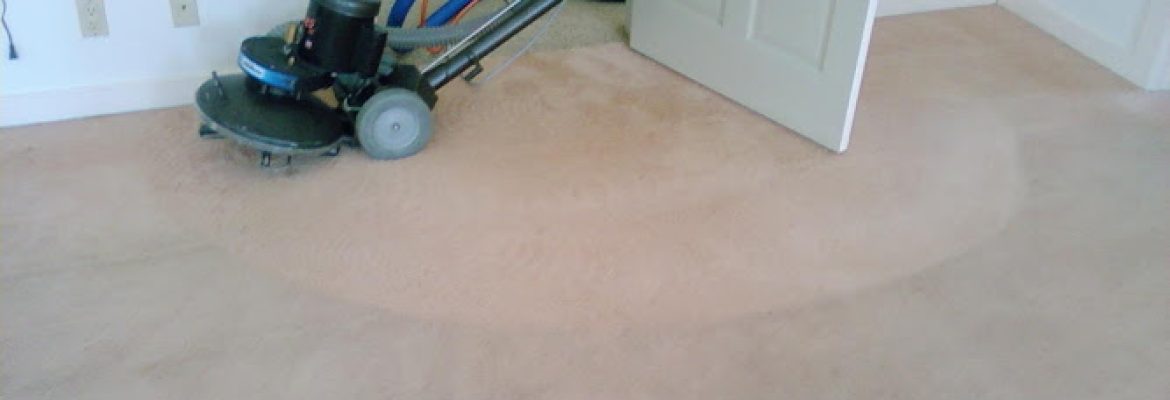 Black Cat Carpet & Upholstery