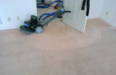 Black Cat Carpet & Upholstery