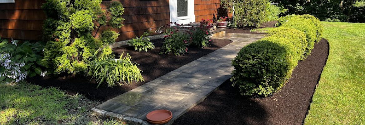 M&G Landscaping & Lawn Care LLC
