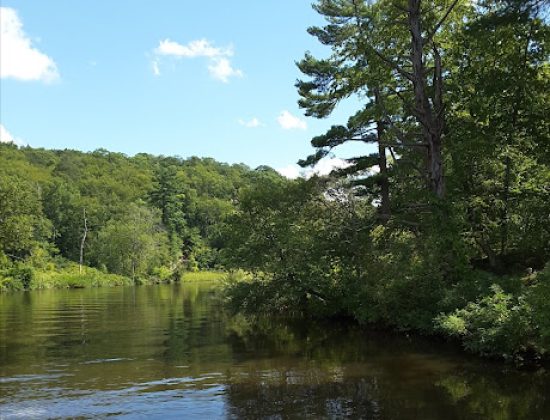 Selden Neck State Park
