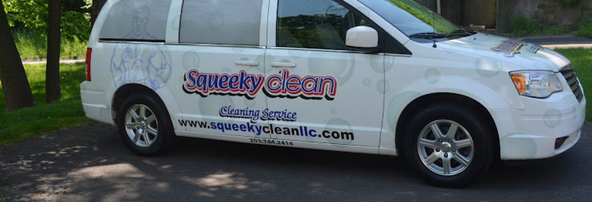 Squeaky Clean Services