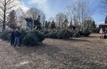 Kogut Hemlock Tree Farm