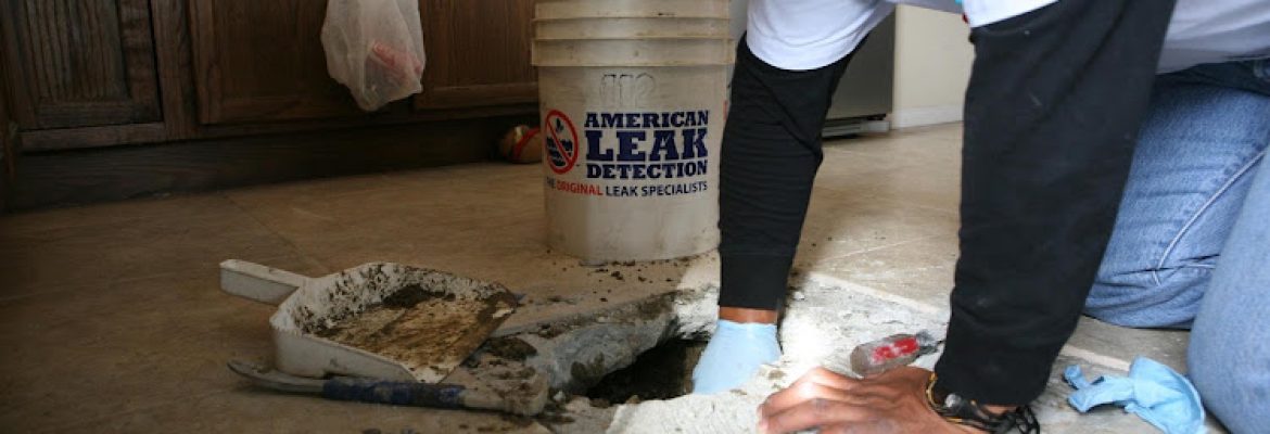 American Leak Detection of Connecticut