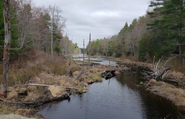 Killingly Pond State Park