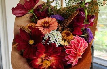 Foliota Flower Farm