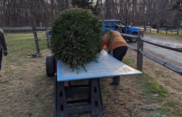 Ganim Tree Farm