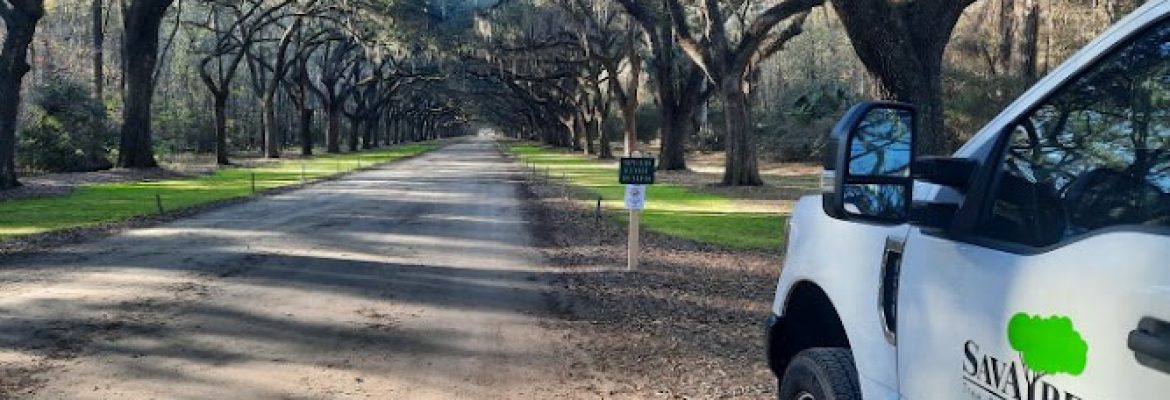 SavATree – Tree Service & Lawn Care
