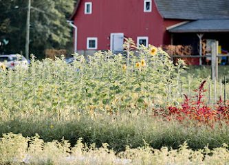 Massaro Community Farm Inc