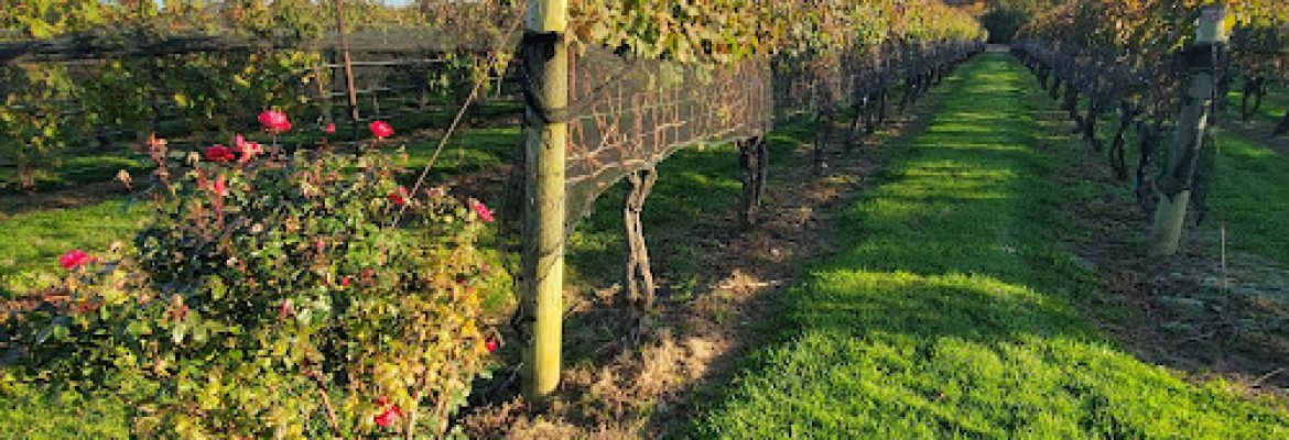 Jonathan Edwards Winery
